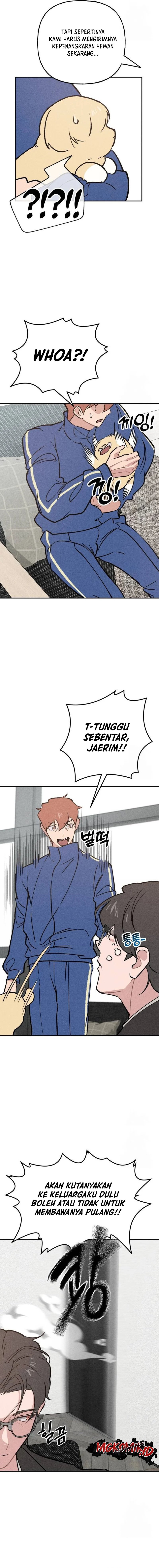 The Devilish Son-In-Law