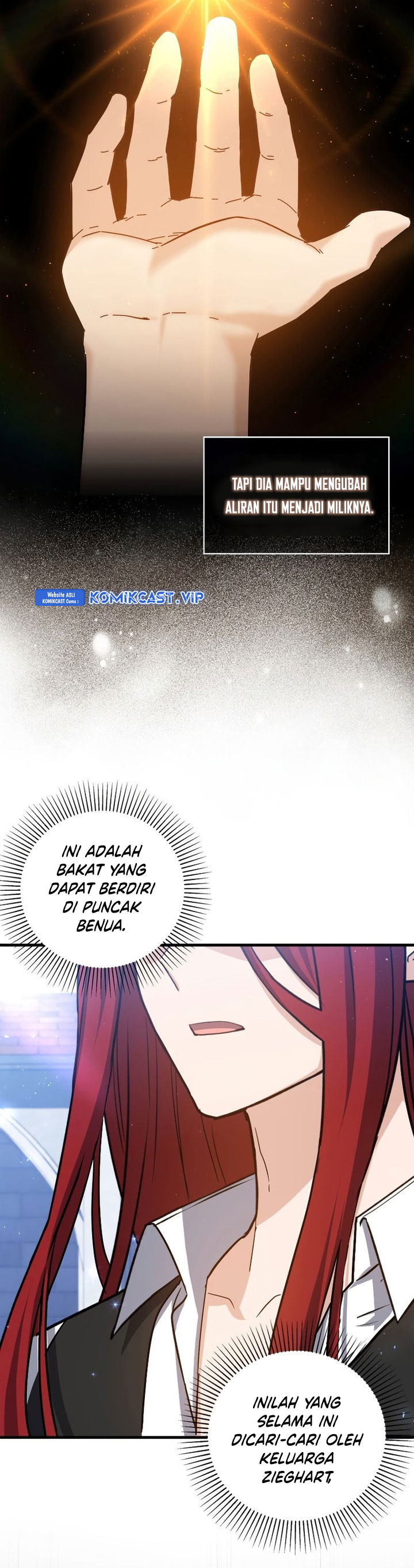 The Reincarnated Assassin is a Genius Swordsman