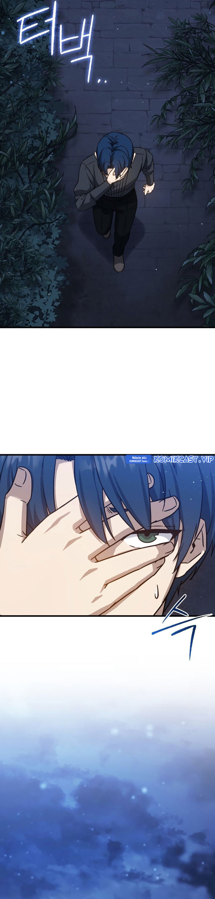 The Reincarnated Assassin is a Genius Swordsman