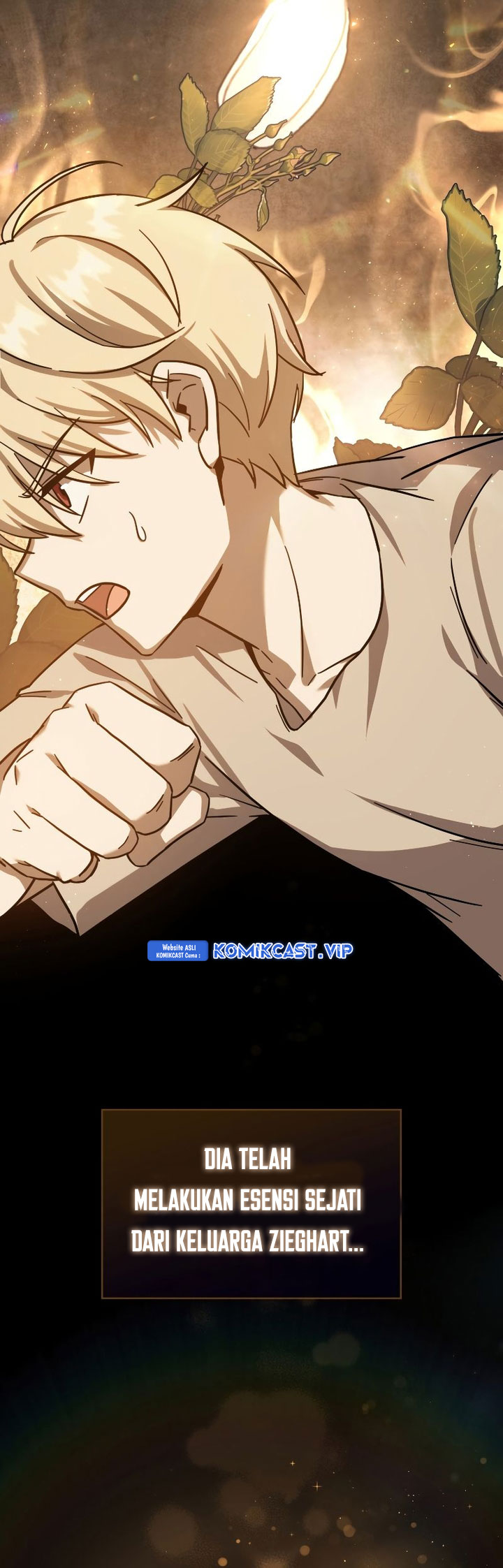 The Reincarnated Assassin is a Genius Swordsman