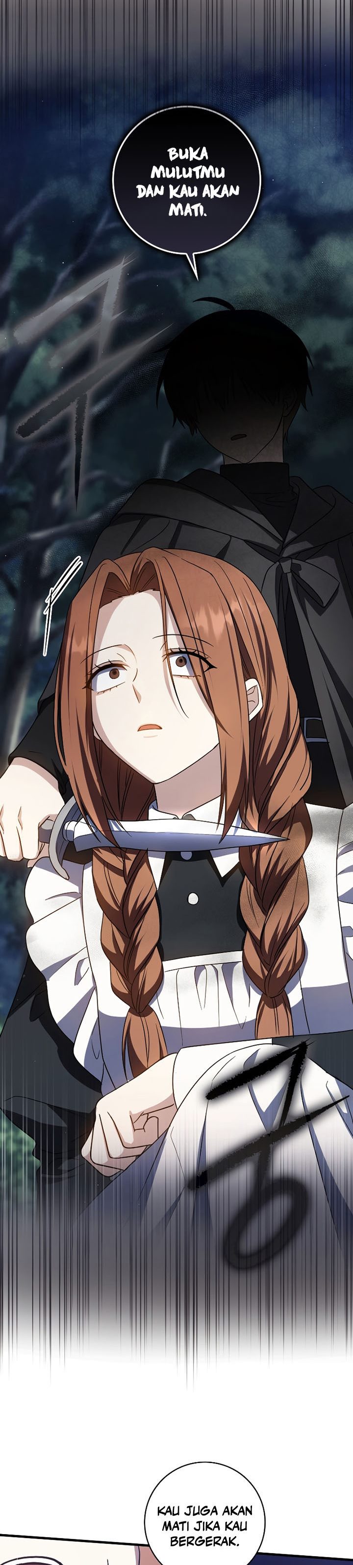 The Reincarnated Assassin is a Genius Swordsman