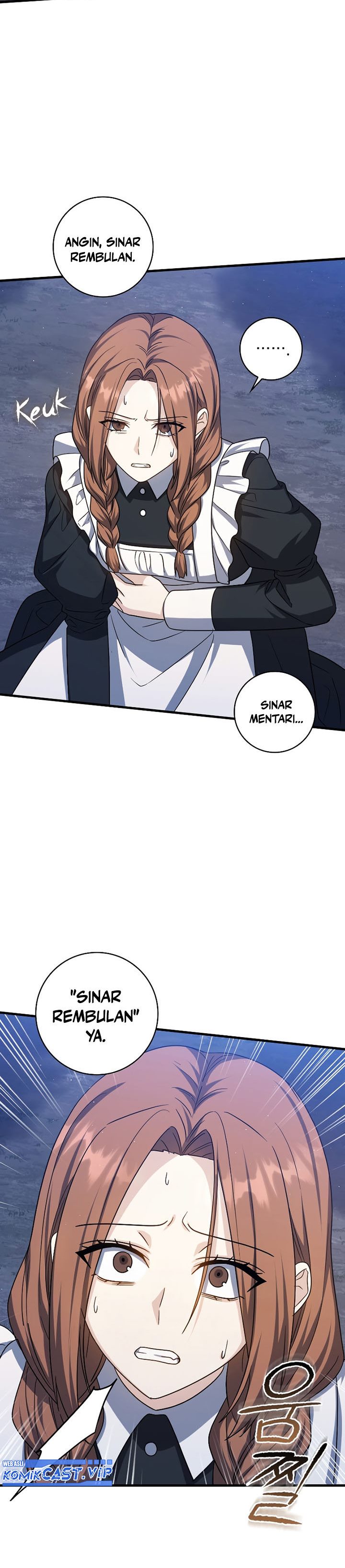 The Reincarnated Assassin is a Genius Swordsman