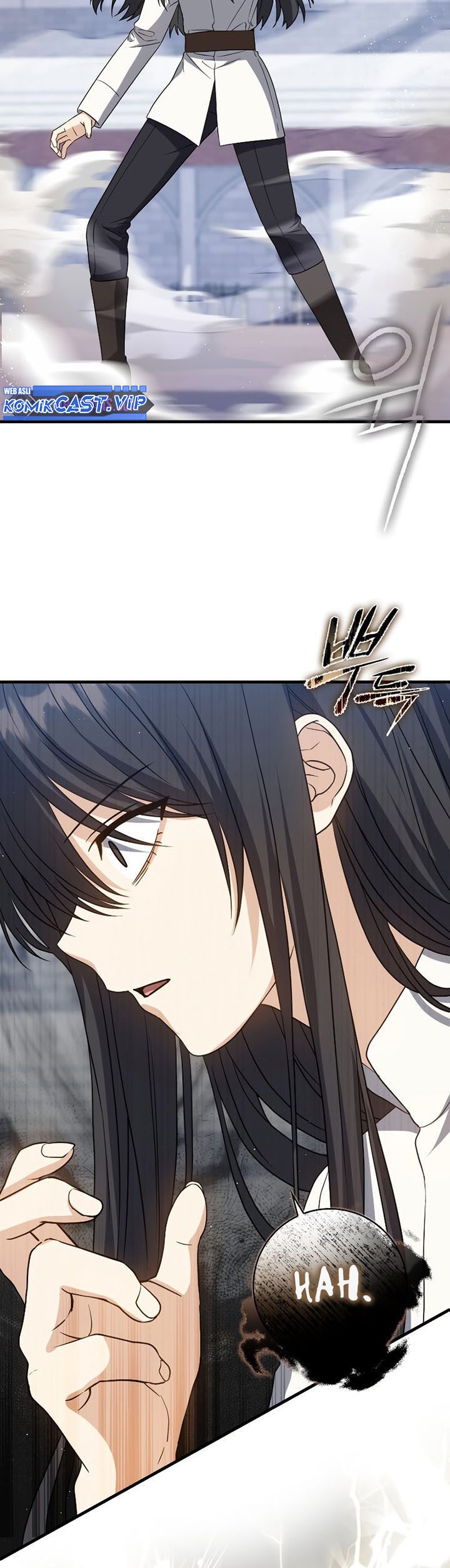 The Reincarnated Assassin is a Genius Swordsman