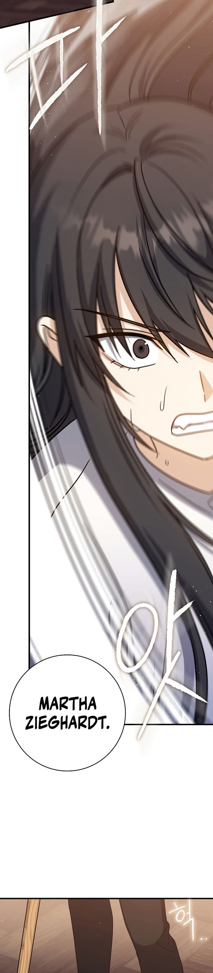 The Reincarnated Assassin is a Genius Swordsman