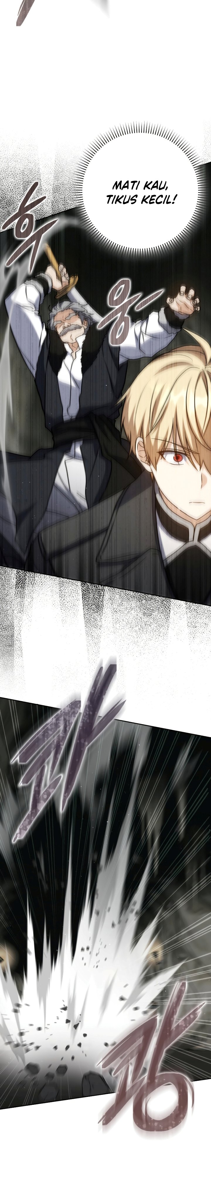 The Reincarnated Assassin is a Genius Swordsman