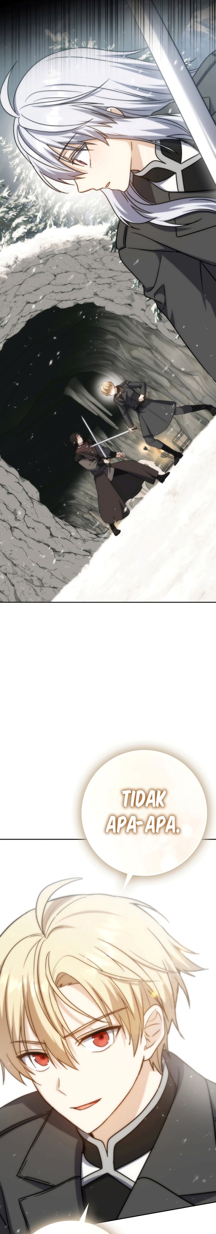 The Reincarnated Assassin is a Genius Swordsman