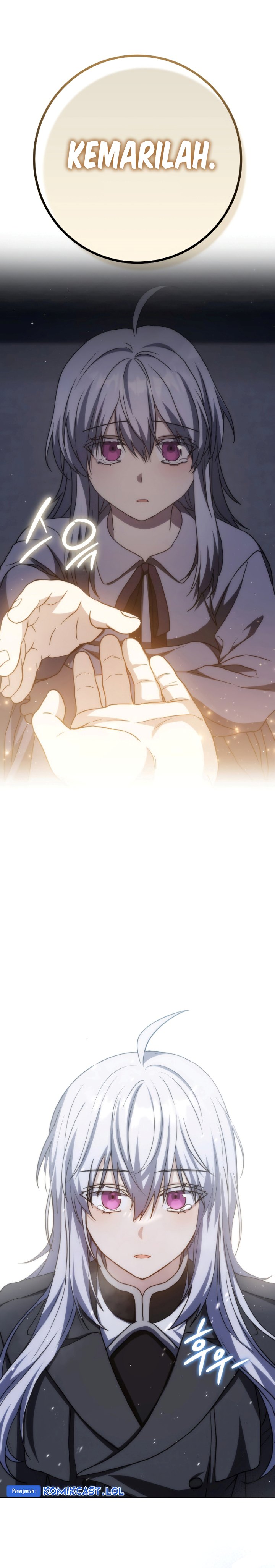 The Reincarnated Assassin is a Genius Swordsman