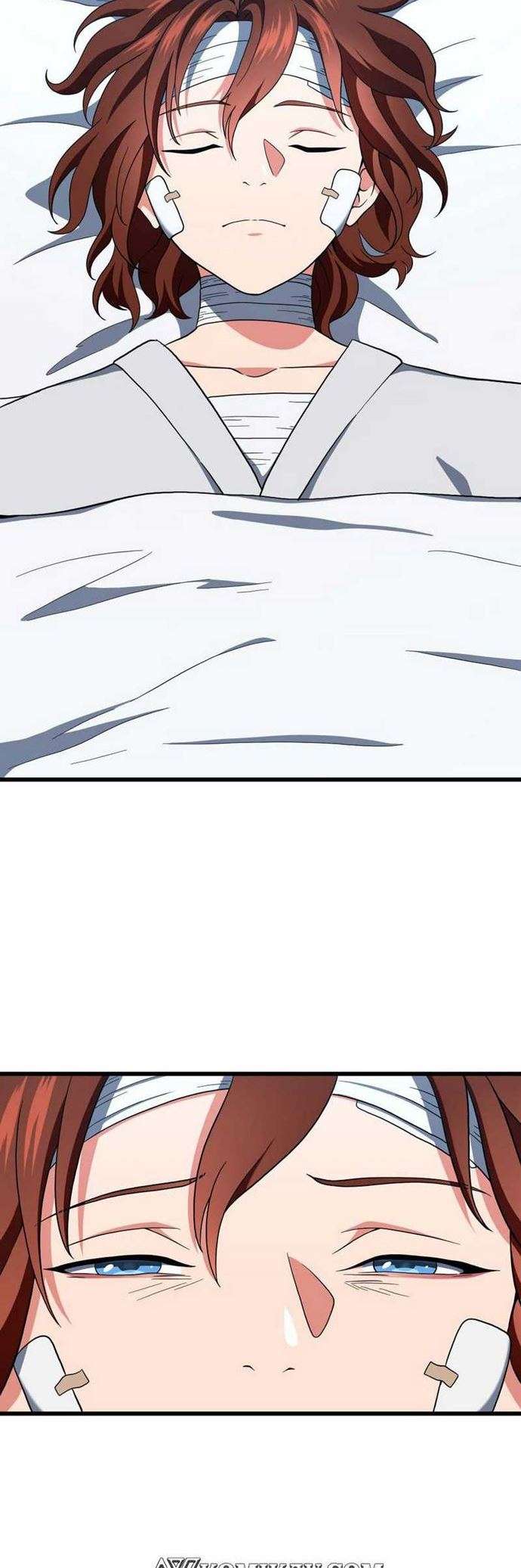 The Beginning After the End (The King Grey Reincarnation)