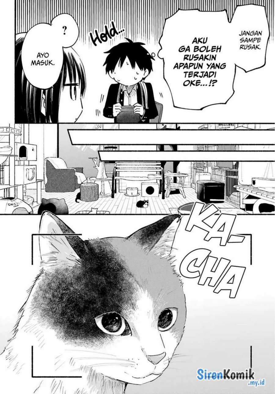 Tonari no Neko to Koi Shirazu