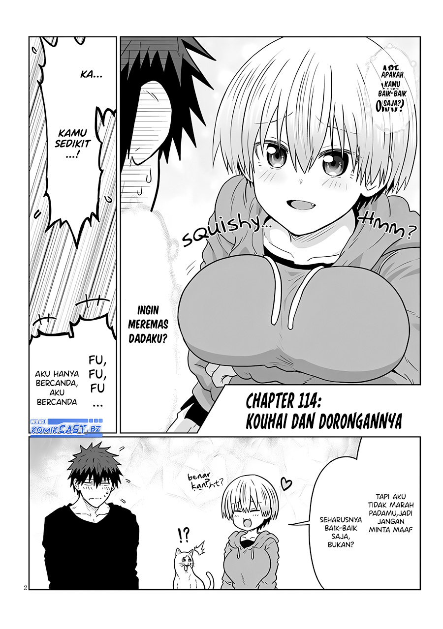 Uzaki-chan wa Asobitai! bh[-