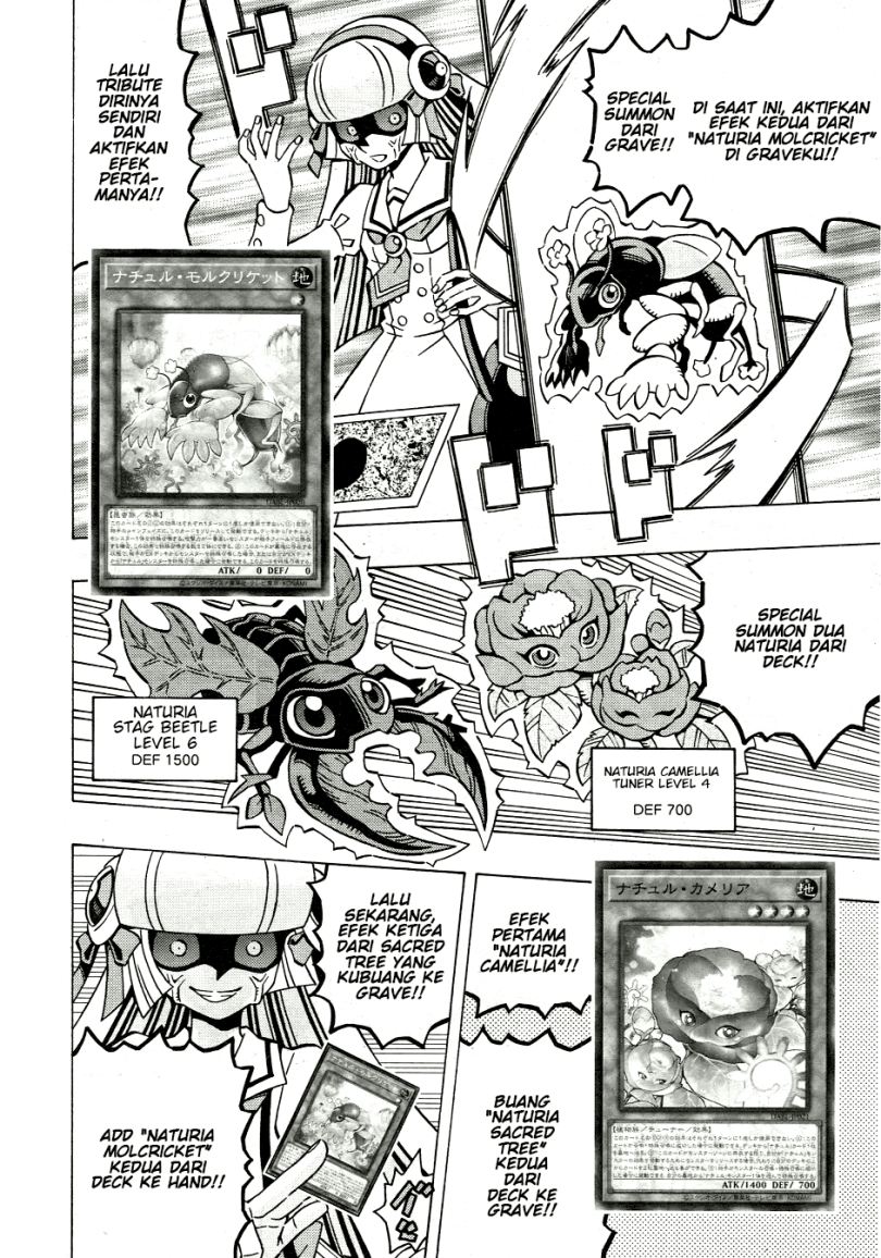 Yu-Gi-Oh! OCG Structures