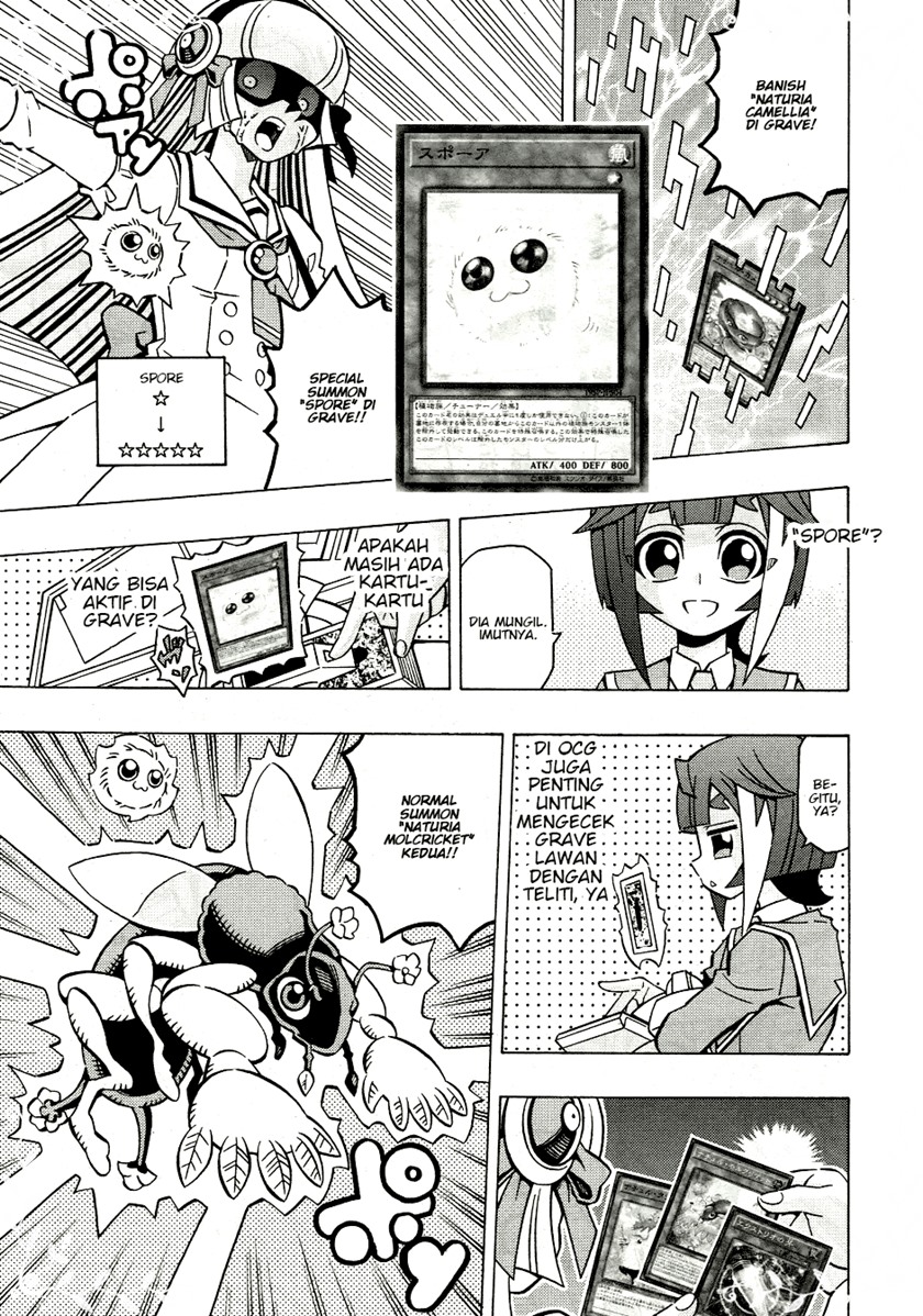 Yu-Gi-Oh! OCG Structures