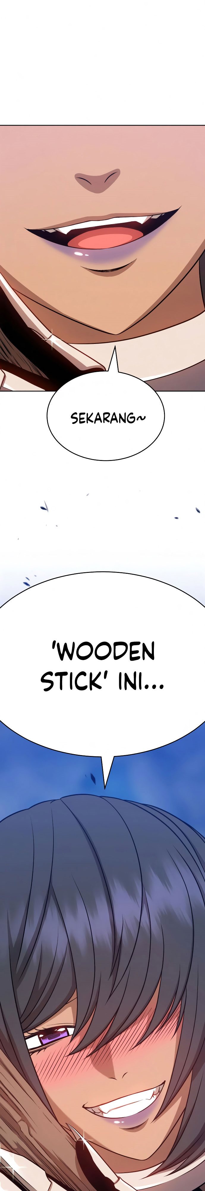 +99 Wooden Stick
