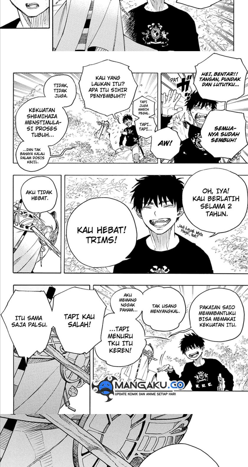 Ao no Exorcist