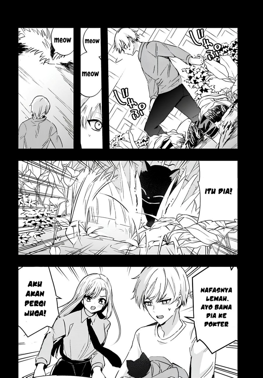 Chiteki de Cool na Kouhai Bijo, Ore no Kai Neko ni naru