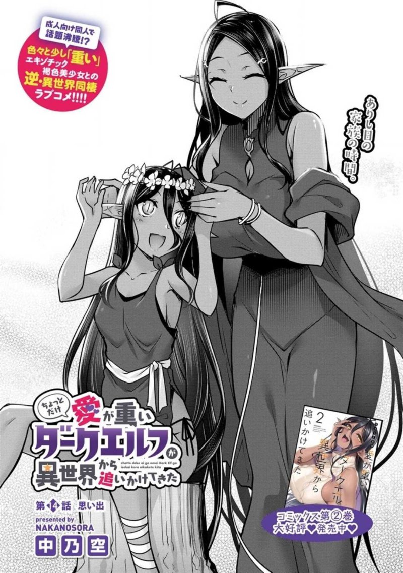 Chotto Dake ai ga Omoi Dark Elf ga Isekai Kara Oikakete Kita Chapter 14