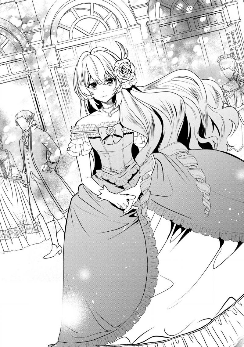 Dai Nana Ouji ni Umareta Kedo, Nani Surya Iino?