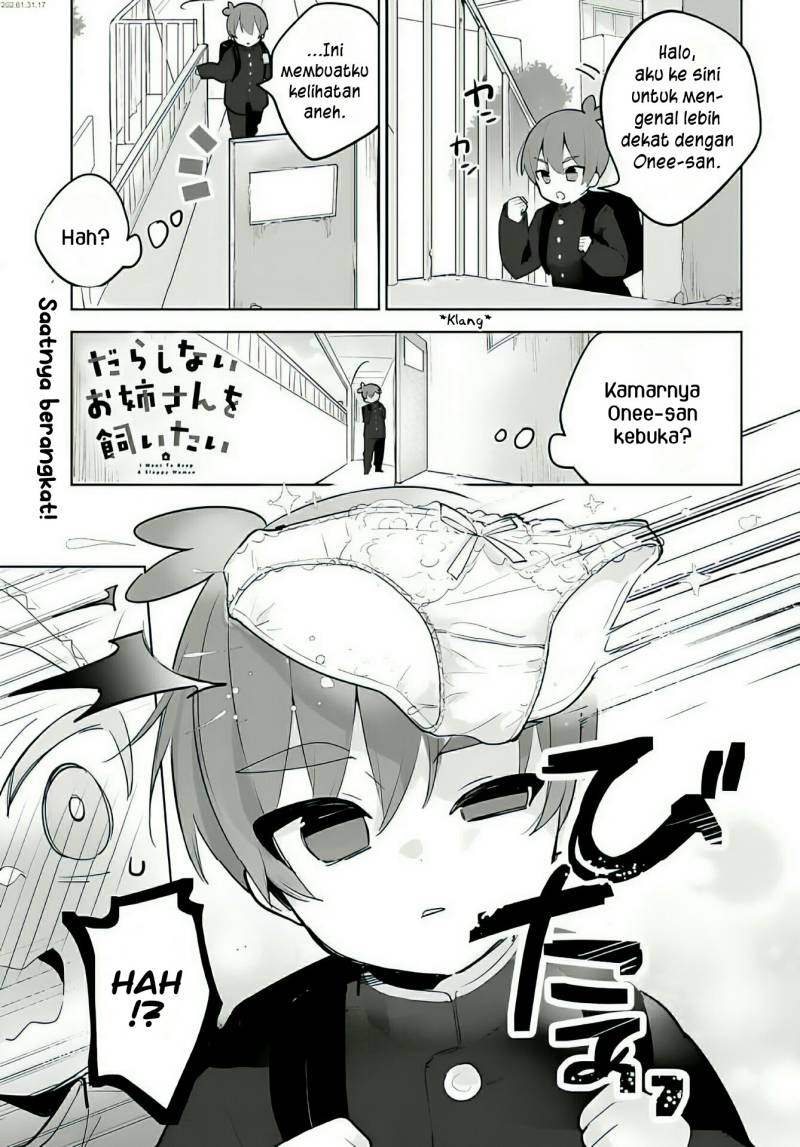 Darashinai Onee-san wo Kaitai