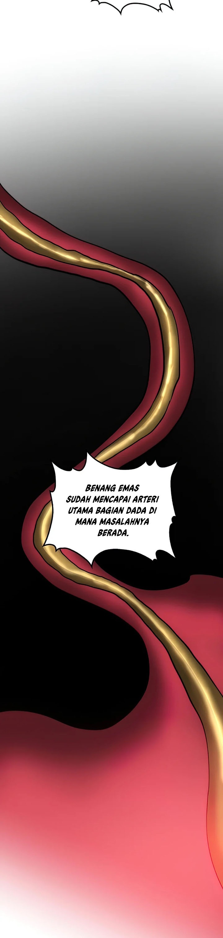 Doctor’s Rebirth