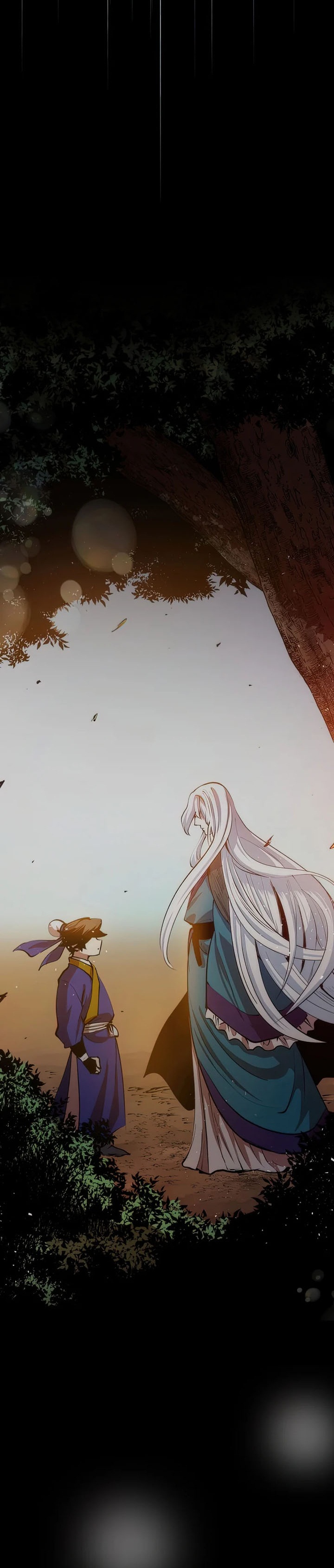 Doctor’s Rebirth