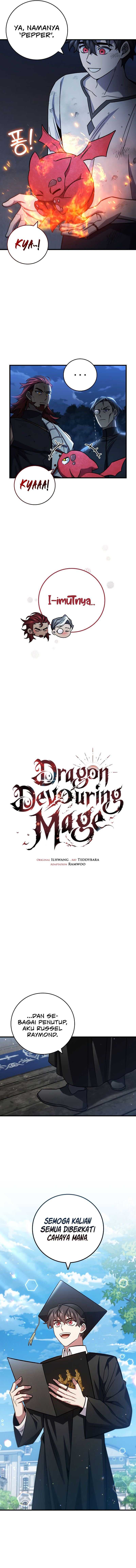 Dragon-Devouring Mage