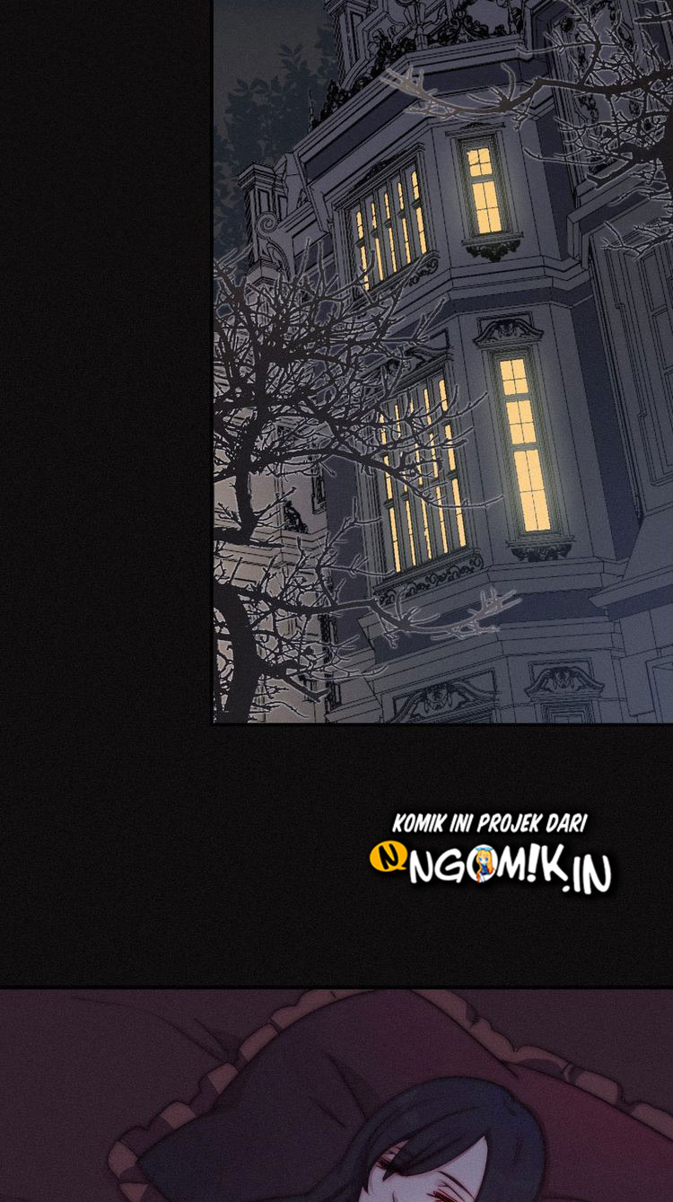Falling in the Night with You