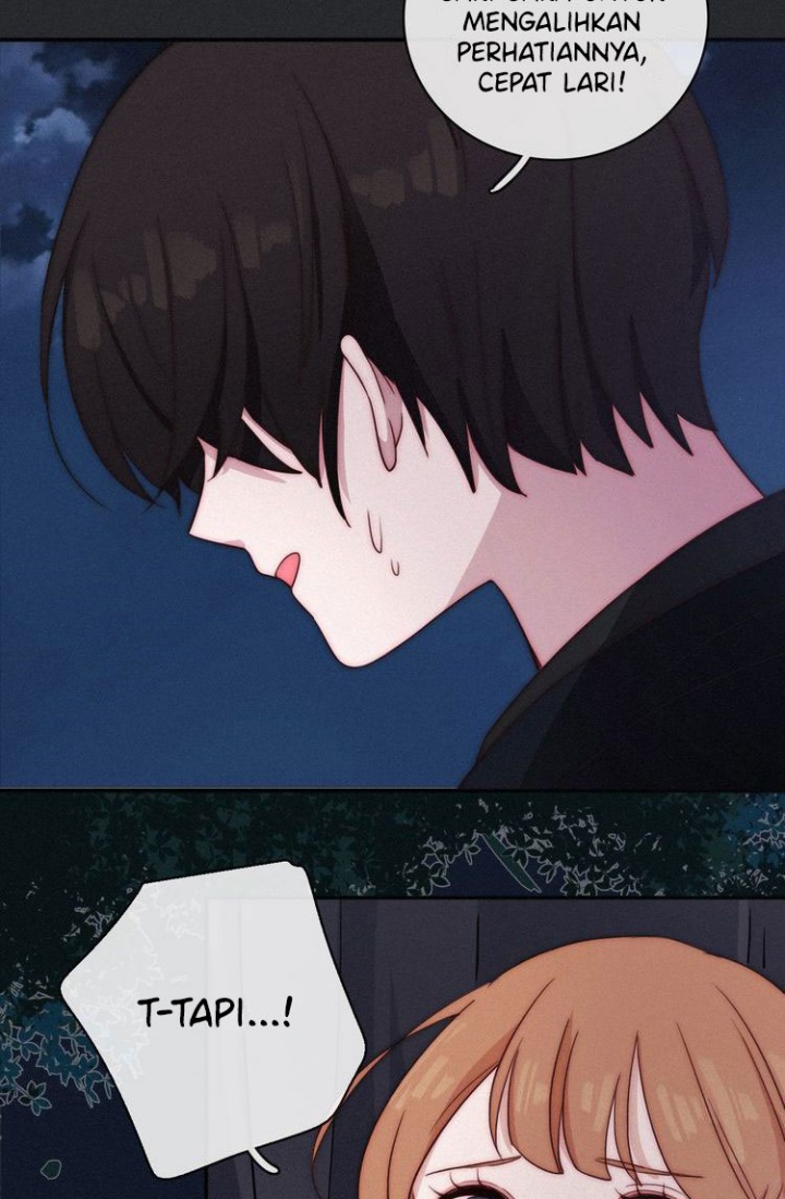 Falling in the Night with You