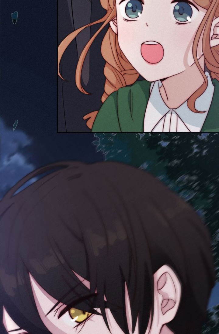 Falling in the Night with You