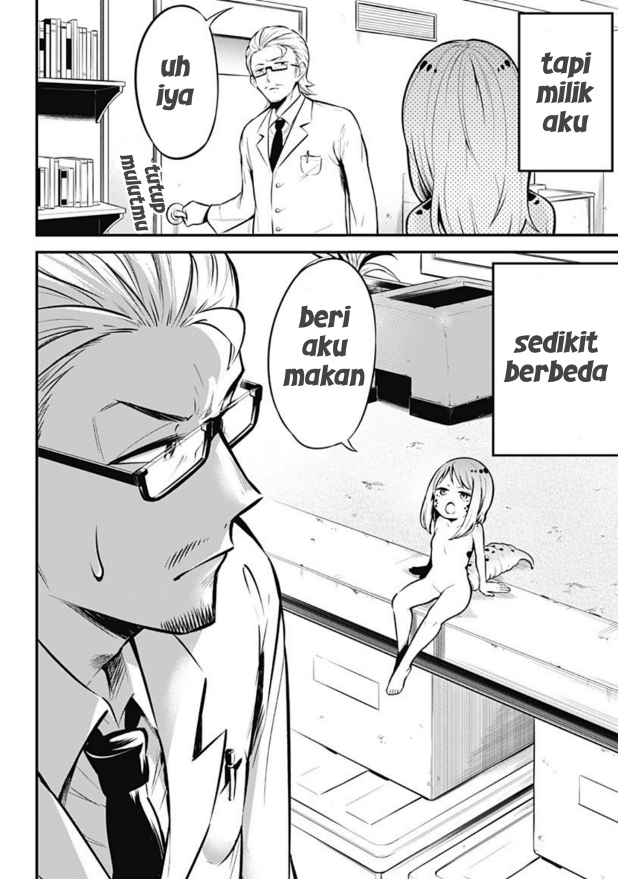 Hachuurui-chan wa Natsukanai
