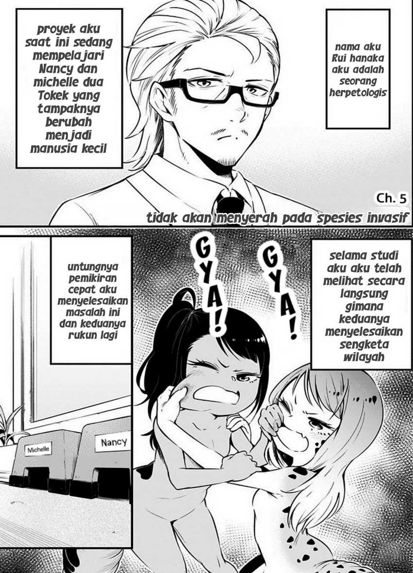 Hachuurui-chan wa Natsukanai