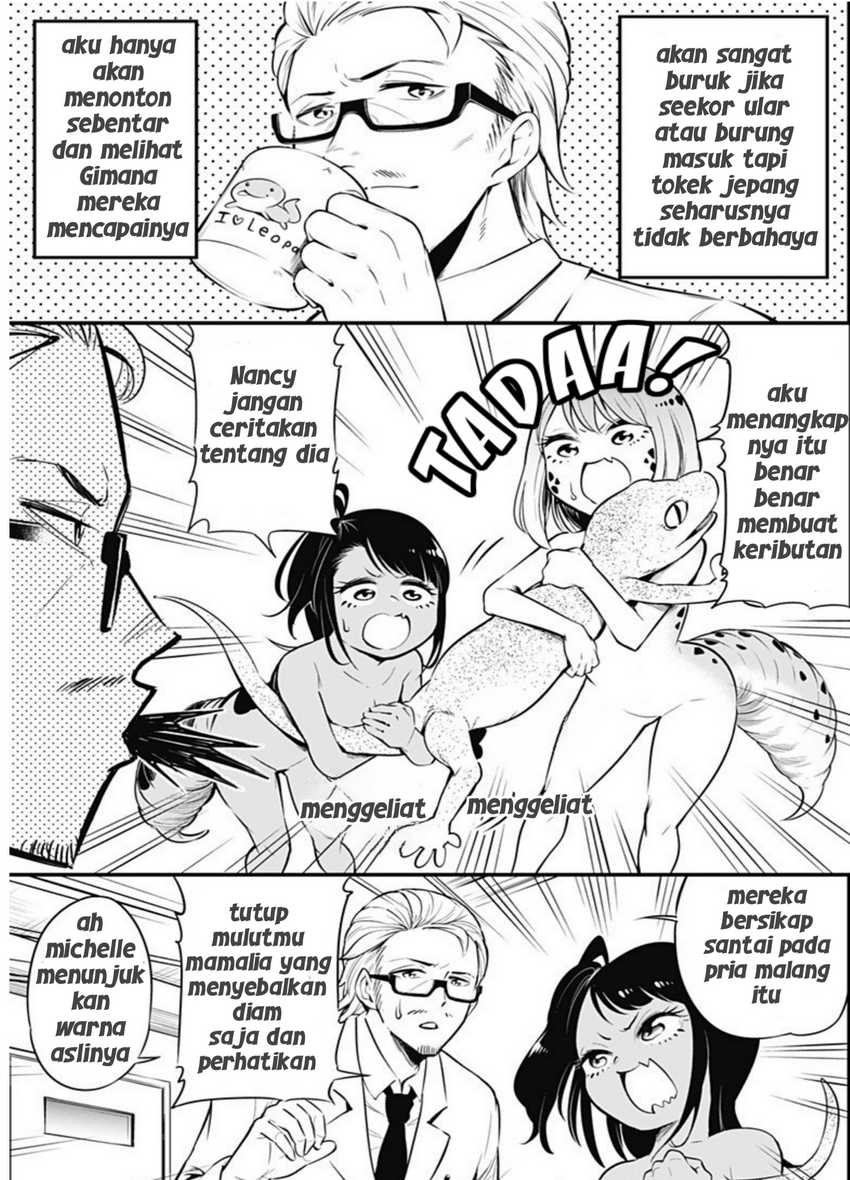 Hachuurui-chan wa Natsukanai