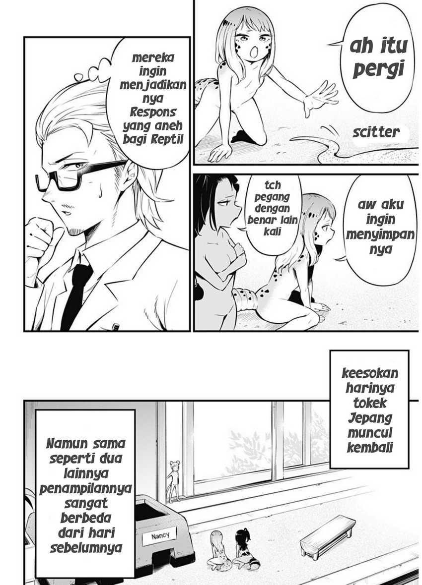 Hachuurui-chan wa Natsukanai