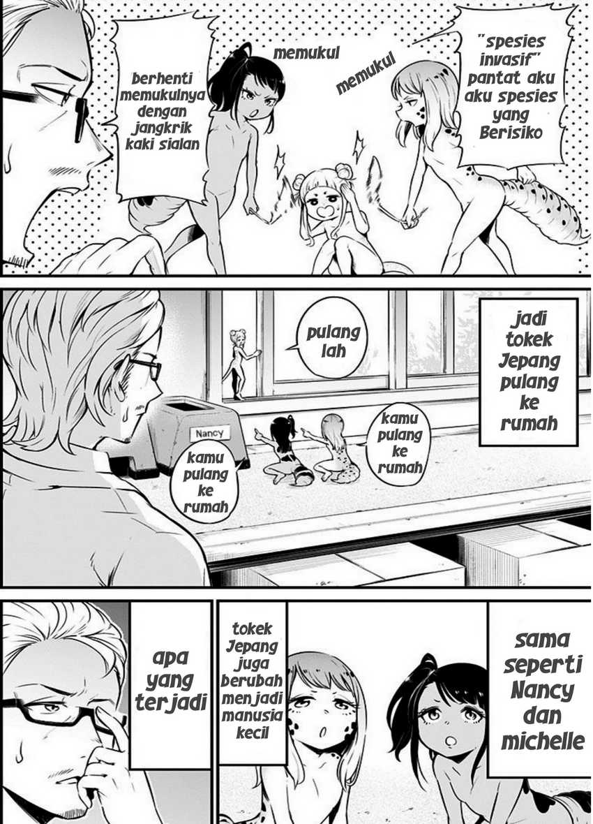 Hachuurui-chan wa Natsukanai