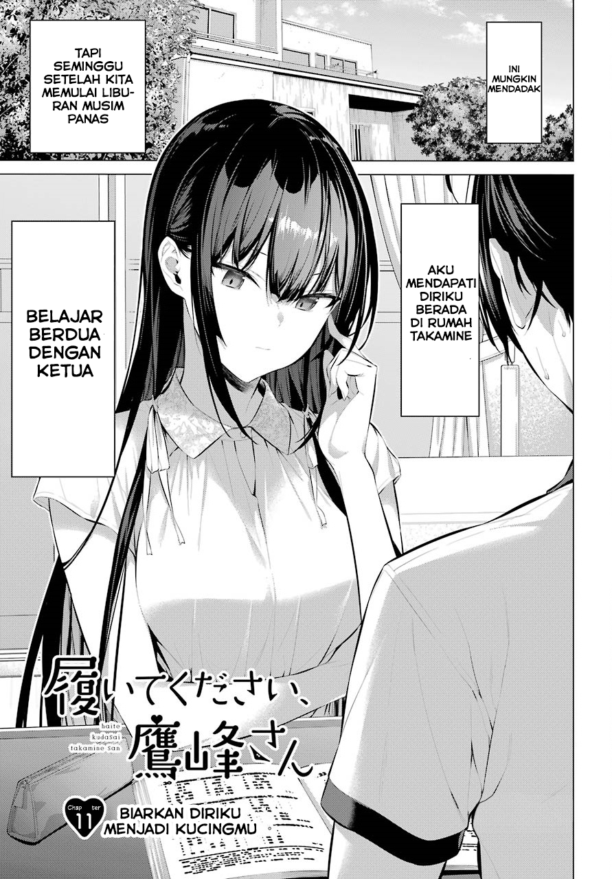 Haite Kudasai Takamine-san