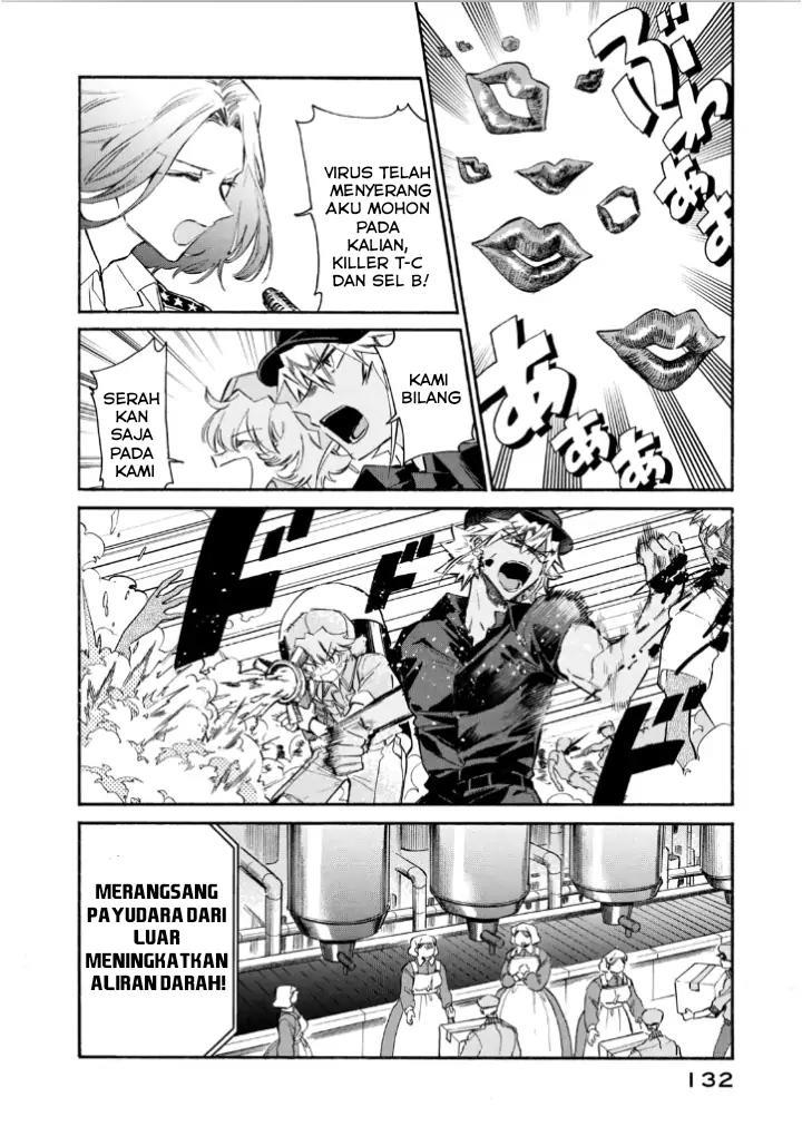 Hataraku Saibou LADY