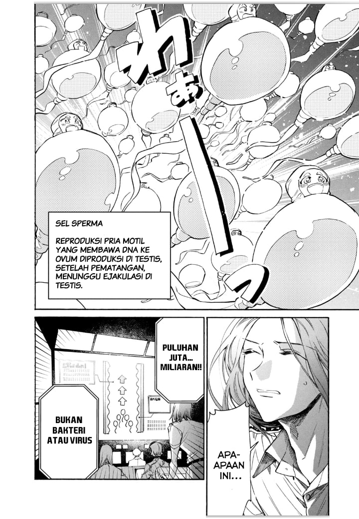 Hataraku Saibou LADY
