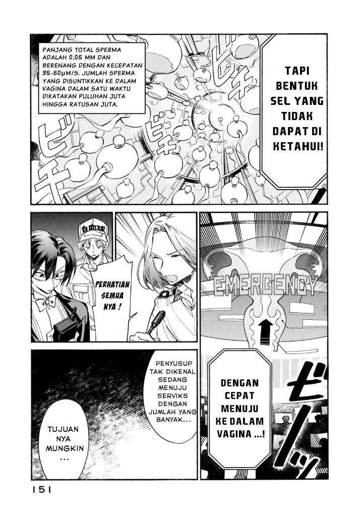 Hataraku Saibou LADY
