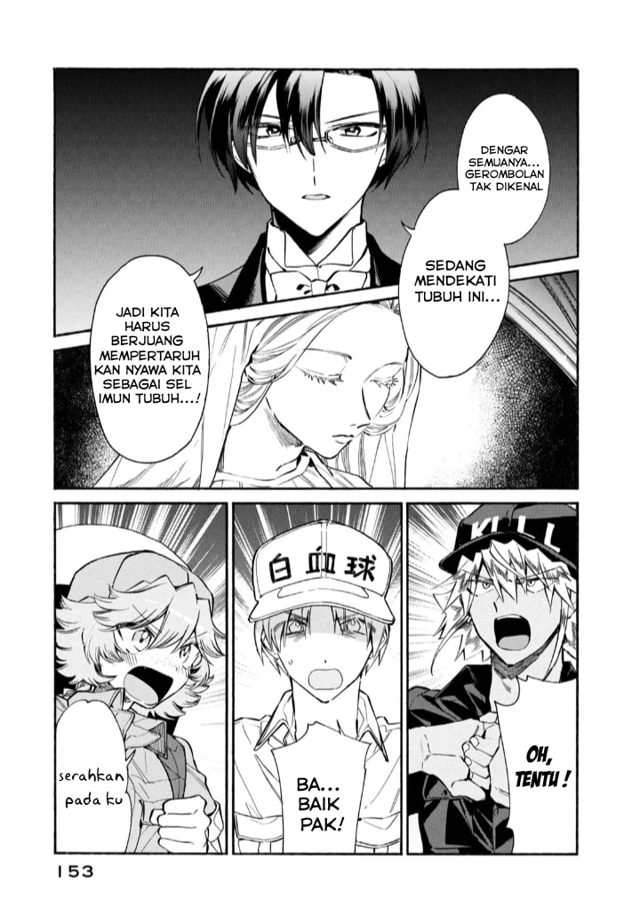 Hataraku Saibou LADY