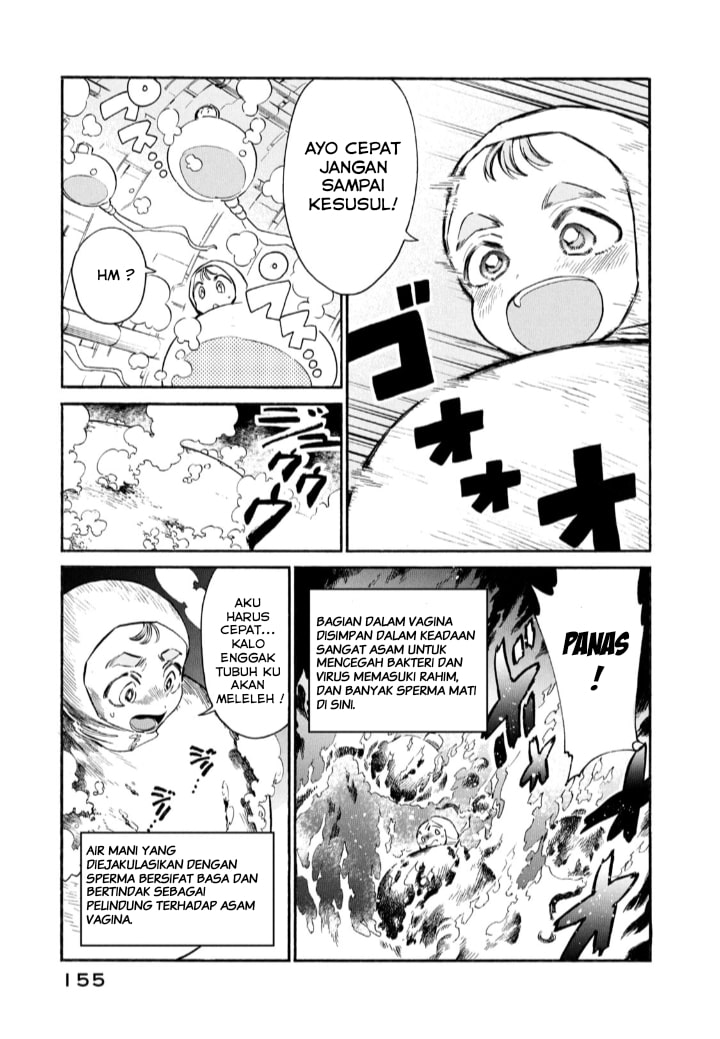 Hataraku Saibou LADY