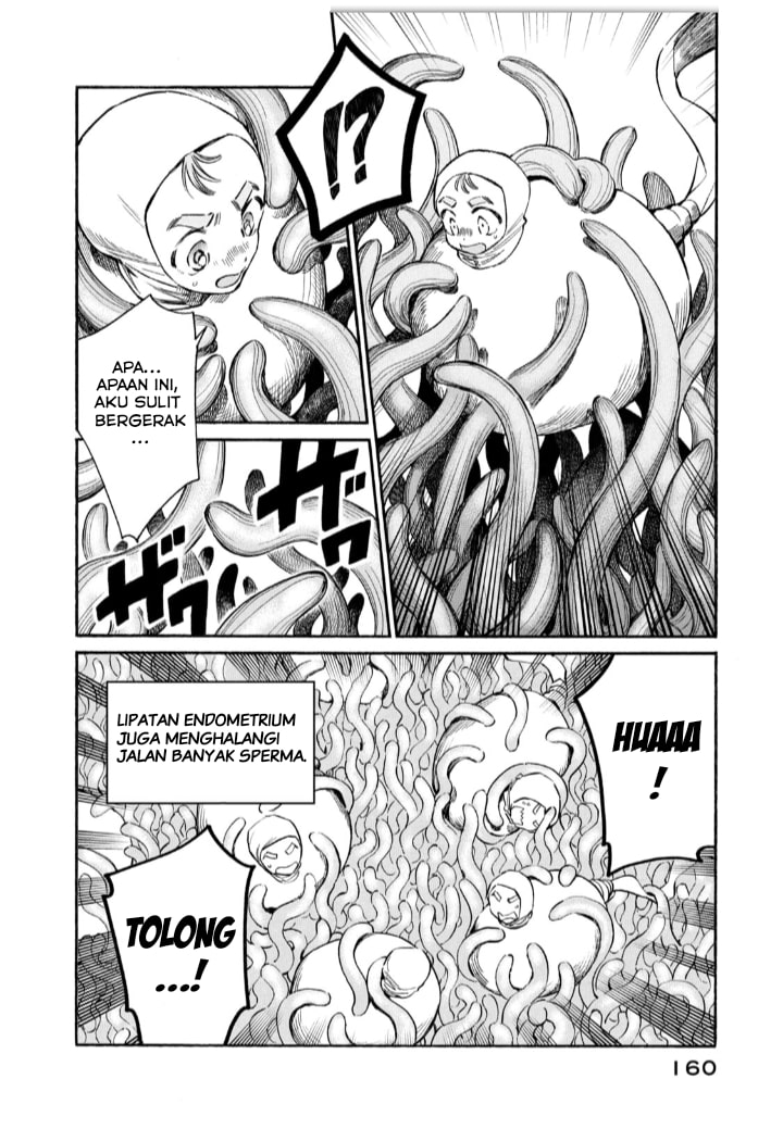 Hataraku Saibou LADY