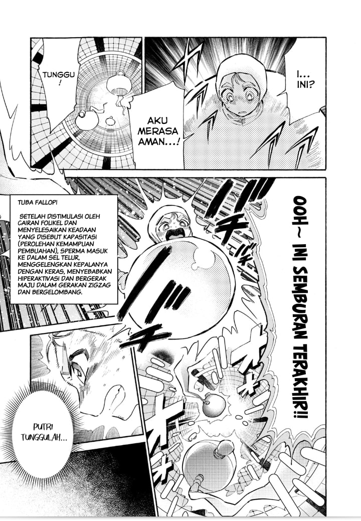 Hataraku Saibou LADY