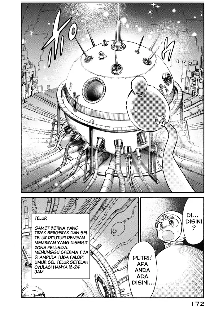 Hataraku Saibou LADY