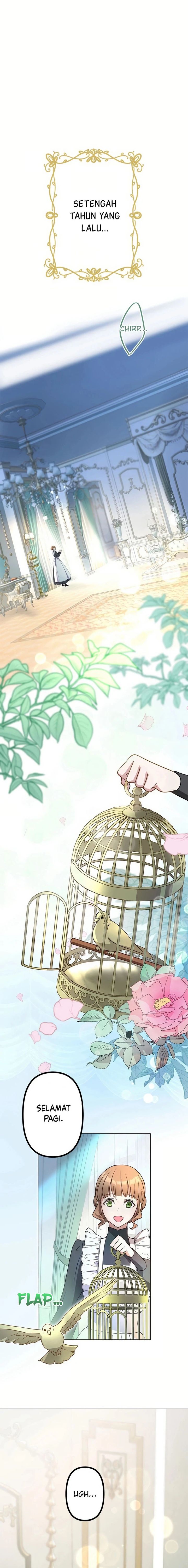 I Will Break Ties With the Harmful Sister