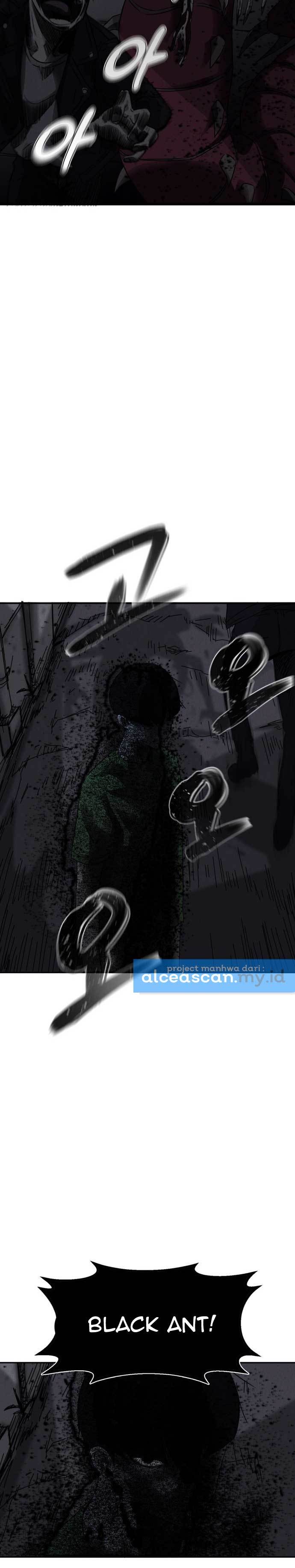Insector