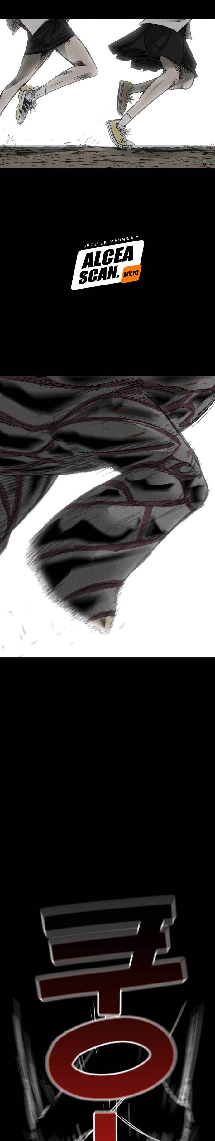 Insector