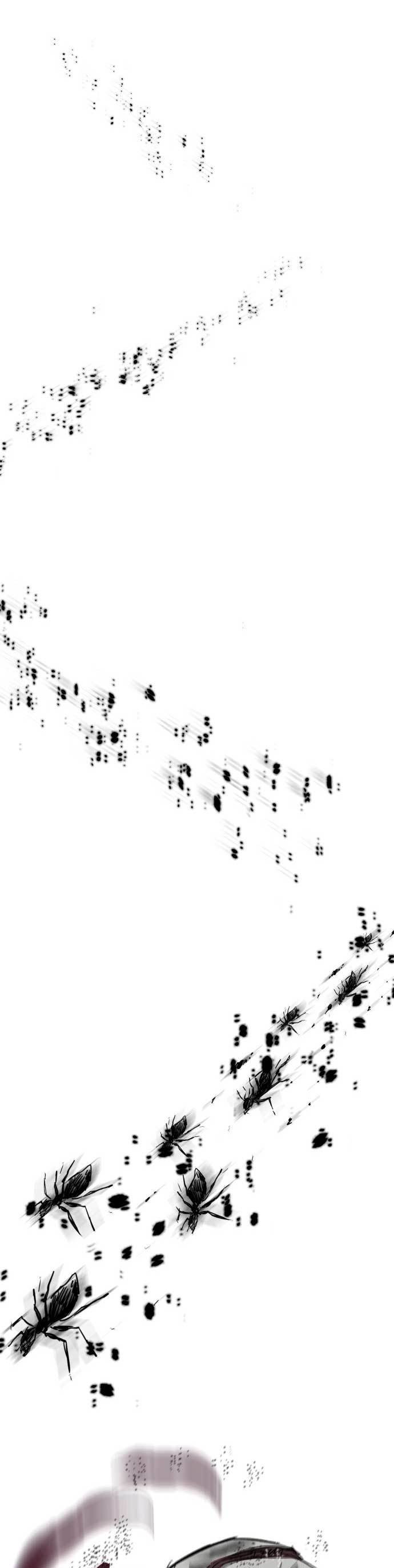 Insector