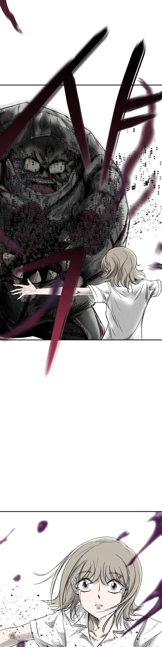 Insector