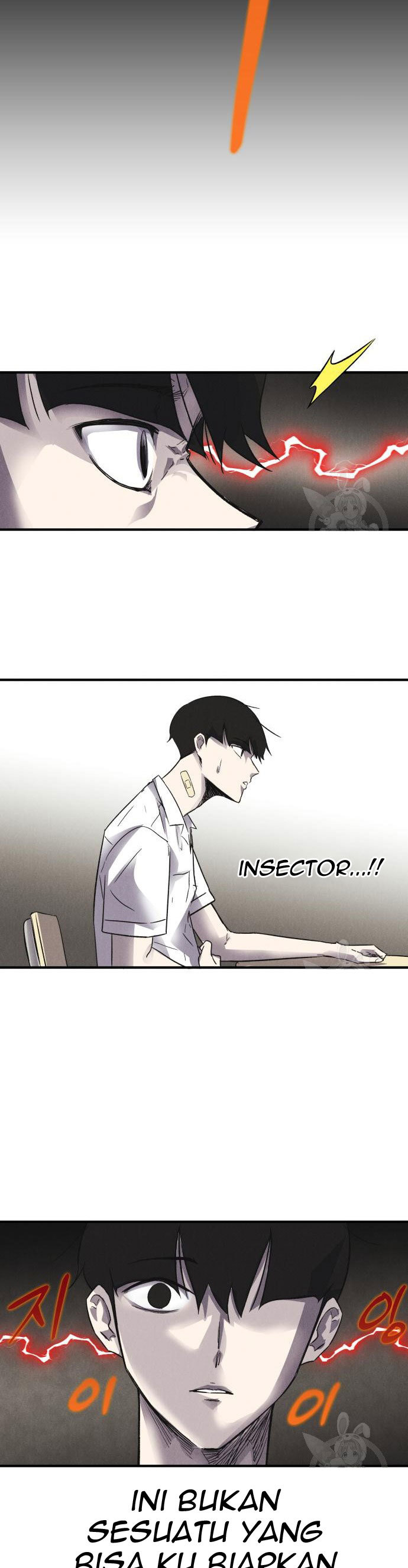 Insector
