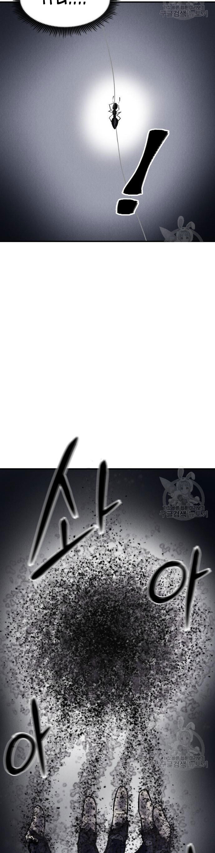 Insector