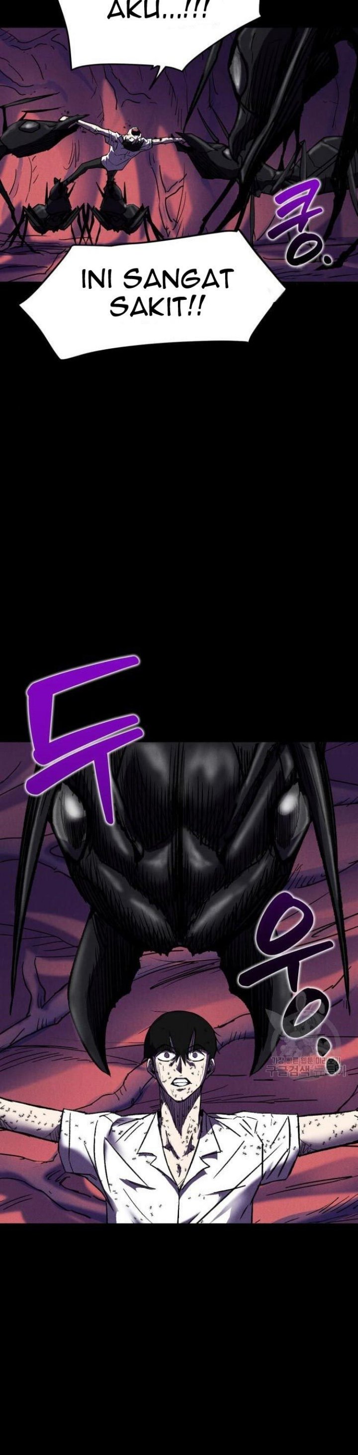 Insector